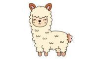 Hoe teken je een alpaca