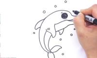 Hoe teken je een dolfijn