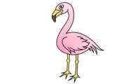 Hoe teken je een flamingo