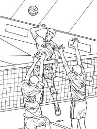 Volleybal