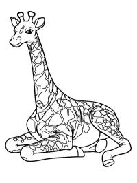 Zittende Giraffe