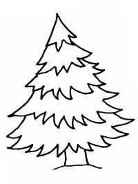 Kerstboom