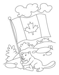 Bever houdt Canadeze vlag vast