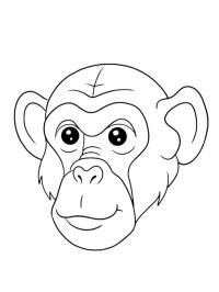 Chimpansee gezicht