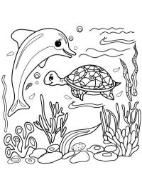 Dolfijn en schildpad