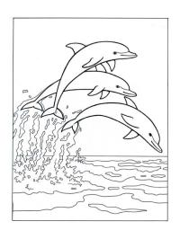 Dolfijnen springen In de zee