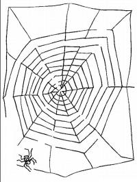 Doolhof spinnenweb