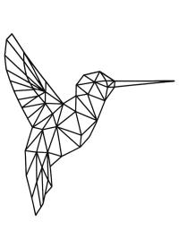 Geometrische Kolibrie