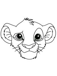Gezicht Simba