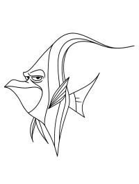 Gill (Finding Nemo)