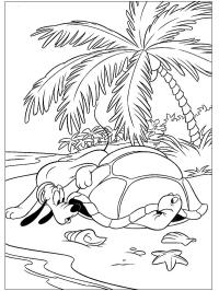 Pluto en schildpad