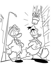 Guus Geluk en Donald Duck
