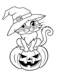 Halloween kat in een heksenhoed