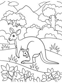 Kangoeroe met baby in de buidel