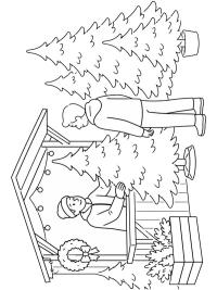 Kerstbomen verkoop