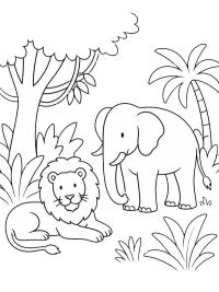 Leeuw en olifant in de jungle