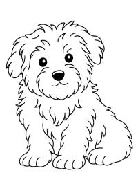 Maltezer