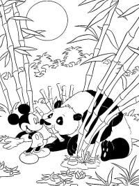 Mickey mouse en panda