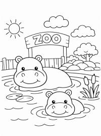 Nijlpaarden in het water