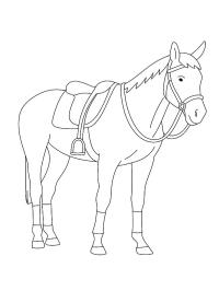 Paard Ozosnel