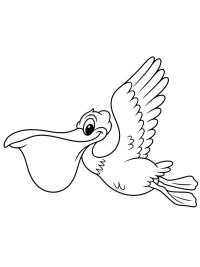 Pelikaan