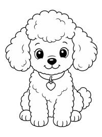 Poedel puppy