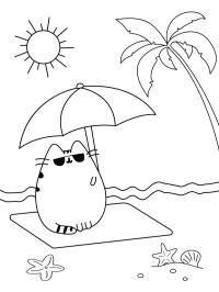 Pusheen op het strand