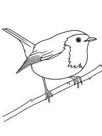Roodborst