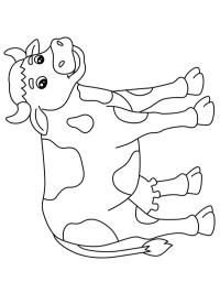 Schattige koe