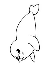 Schattige zeehond