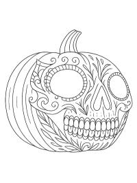 Schedel pompoen