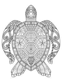 Schildpad mandala tattoo