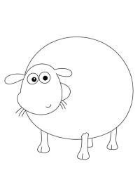 Shirley (Shaun het Schaap)
