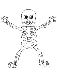 Halloween Skelet (mens)