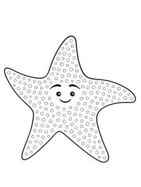 Sterre (Finding Nemo)
