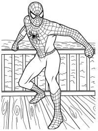 Stoere spider-man