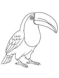 Toekan