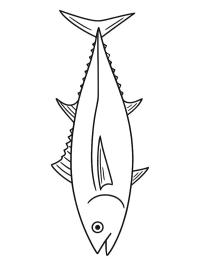 Tonijn vis