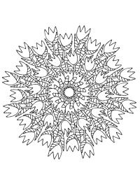 Tulpen mandala