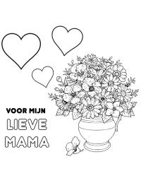 Voor mijn lieve mama