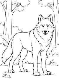 Wolf in het bos