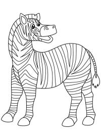Zebra