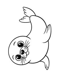 Zeehond