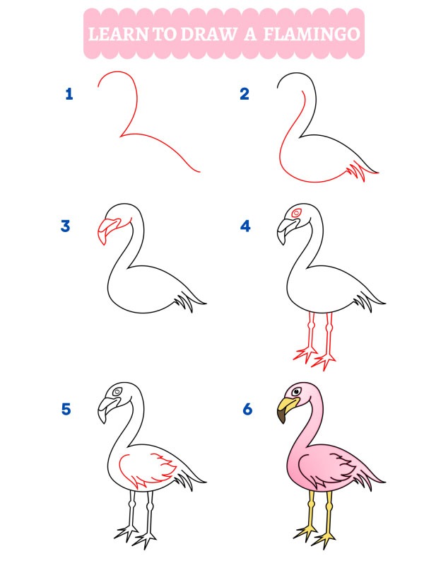 Hoe teken je een flamingo?