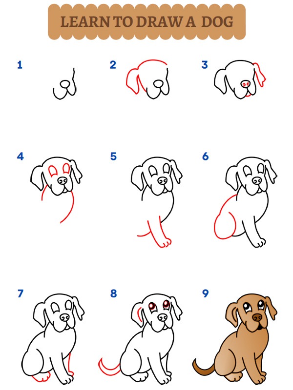 Hoe teken je een hond?