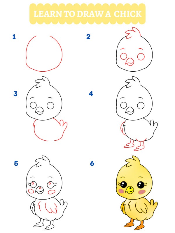 Hoe teken je een kuiken?