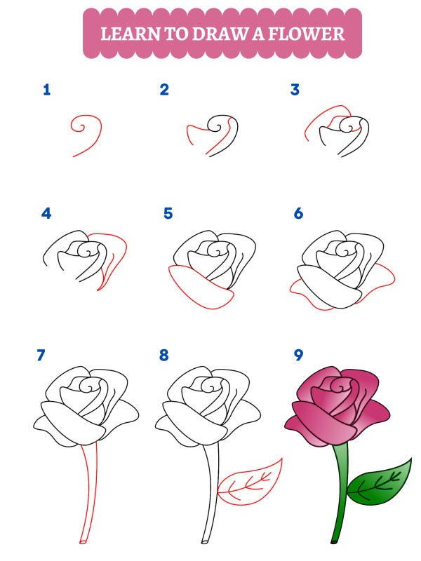 Hoe teken je een roos?