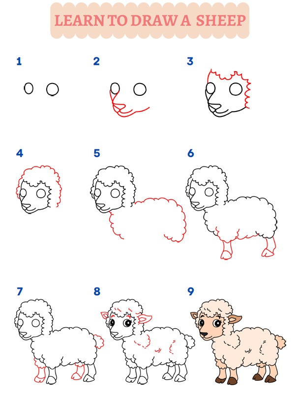 Hoe teken je een schaap?