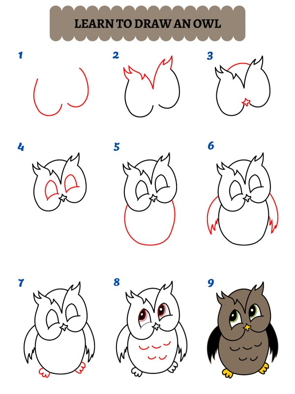 Hoe teken je een uil?
