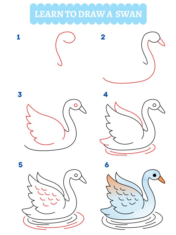 Hoe teken je een zwaan?